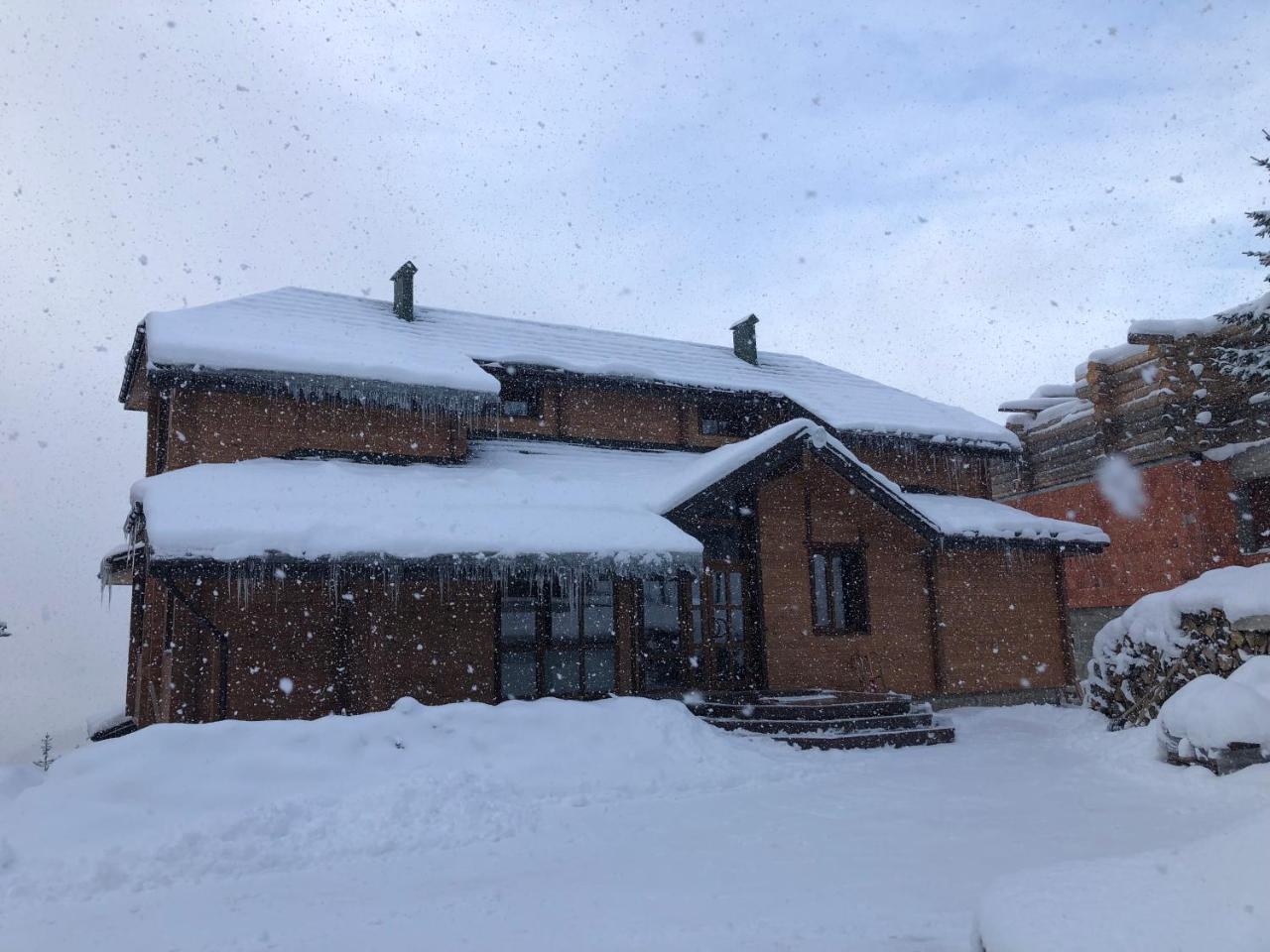 Golden Nest Yablunytsya Exterior foto